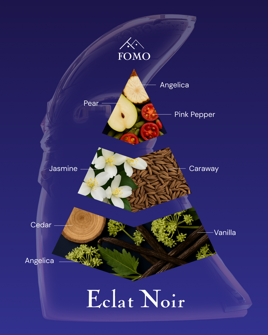 FOMO Eclat Noir